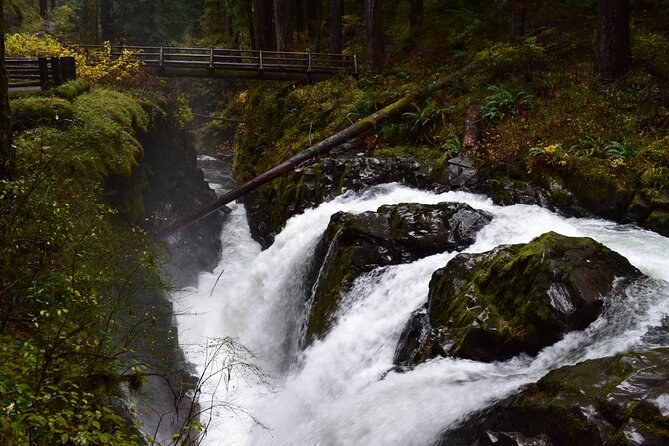 Sol Duc, Lake Crescent, and Hurricane Ridge Guided Tour in Olympic National Park - Discovering Alpine Wonders