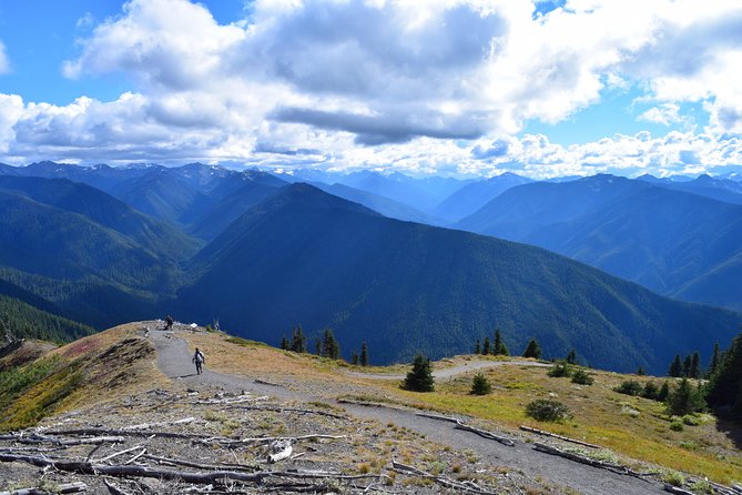 Sol Duc, Lake Crescent, and Hurricane Ridge Guided Tour in Olympic National Park - Inclusions and Pricing