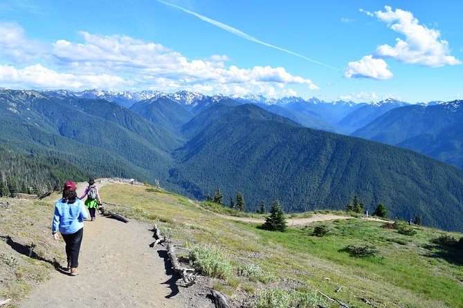 Sol Duc, Lake Crescent, and Hurricane Ridge Guided Tour in Olympic National Park - Key Inclusions
