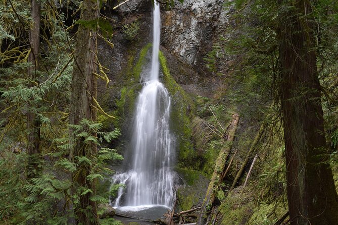 Sol Duc, Lake Crescent, and Hurricane Ridge Guided Tour in Olympic National Park - Scenic Drive Through Elwha Valley