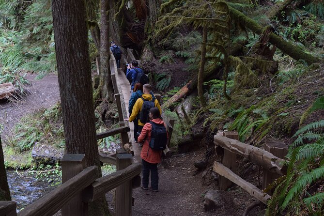 Sol Duc, Lake Crescent, and Hurricane Ridge Guided Tour in Olympic National Park - Ascent to Hurricane Ridge