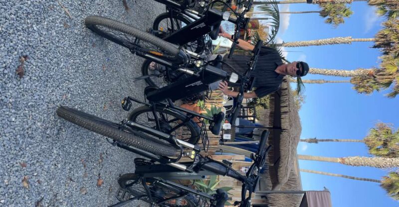 Solana Beach: Electric Bike Rental With 5-Level Pedal Assist - Bike Features