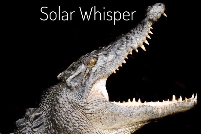 Solar Whisper Daintree River Crocodile and Wildlife Cruise - Customer Reviews
