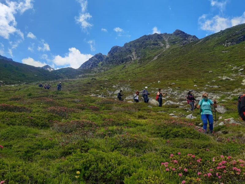 Sölden: MTB / Ebike Tours And/Or Hiking With Newadventure - Participant Restrictions