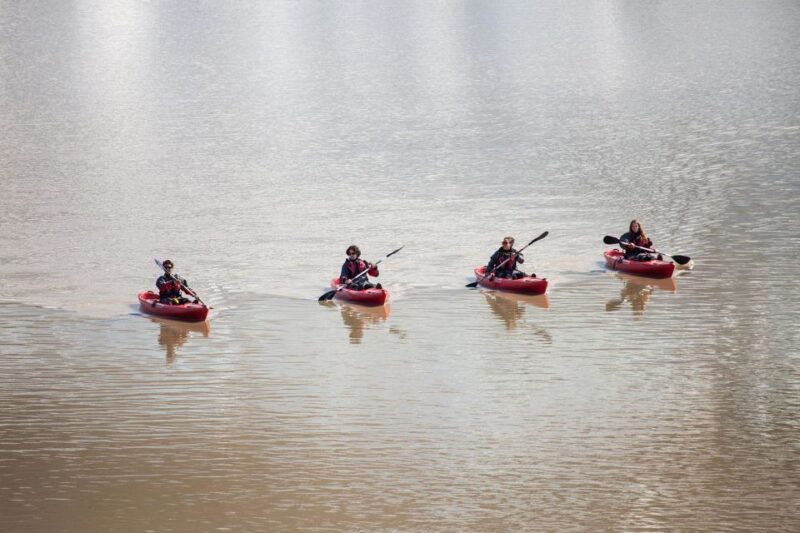 Sólheimajökull: Guided Kayaking Tour on the Glacier Lagoon - Participant Information