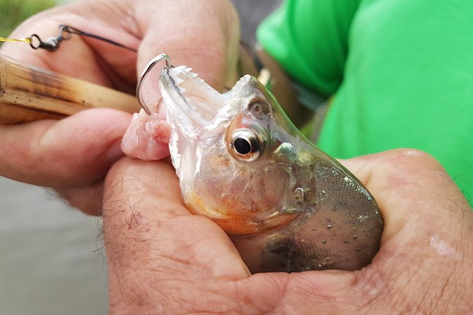 Solimoes River Piranha Fishing and Alligator Watching Tour - Tour Logistics
