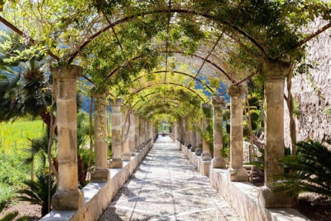Sóller: Alfabia Gardens Entrance Ticket - Exploring the Alfabia Gardens