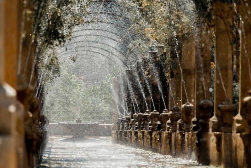 Soller: Alfabia Gardens Entrance Ticket - Experience Highlights