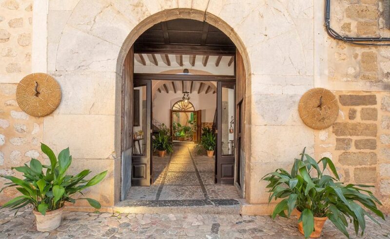 Sóller: Olive Oil Guided Tour and Tasting at Can Det Estate - Olive Cultivation and Oil Production Process