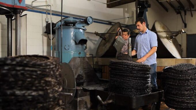 Sóller: Olive Oil Guided Tour and Tasting at Can Det Estate - FAQ