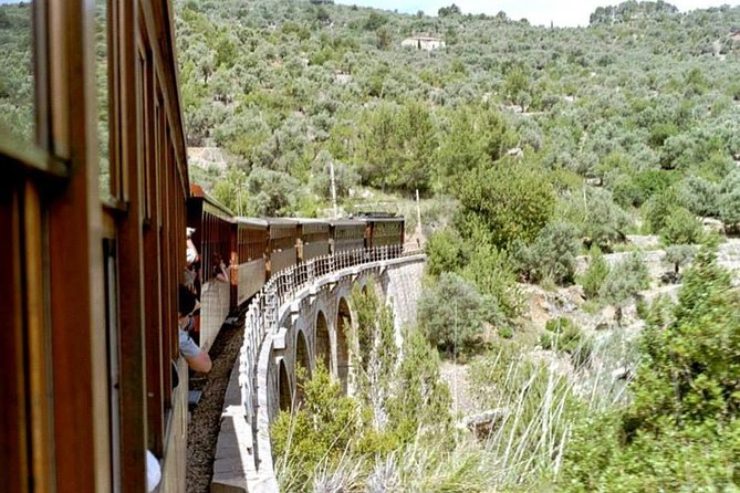 Soller Port With Train and Tram Mallorca Half Day Trip - Scenic Mallorca Landscapes