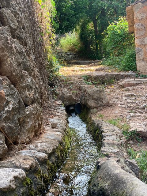 Soller Valley Walk: Small Villages and Citrus Farm Visit - Key Points