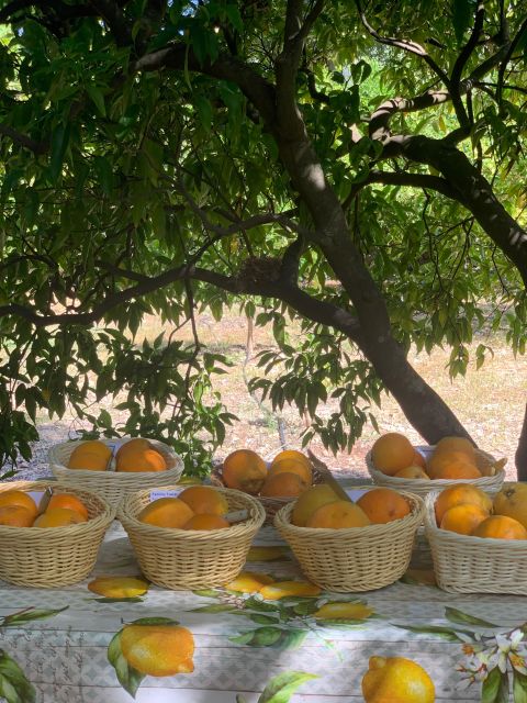 Soller Valley Walk: Small Villages and Citrus Farm Visit - History and Richness of Sollers Citrus