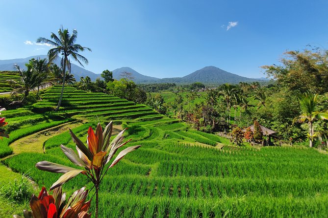 Solo or Group Tour - 10 Hours, 5 Persons Max - Inclusions