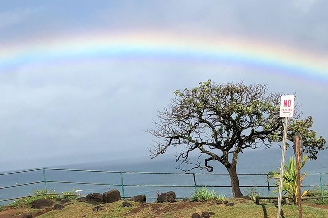 Solo Tour: Oahu Island, Maui Island, Kauai Island, Big Island Kona, Big Island Hilo - Participant Requirements