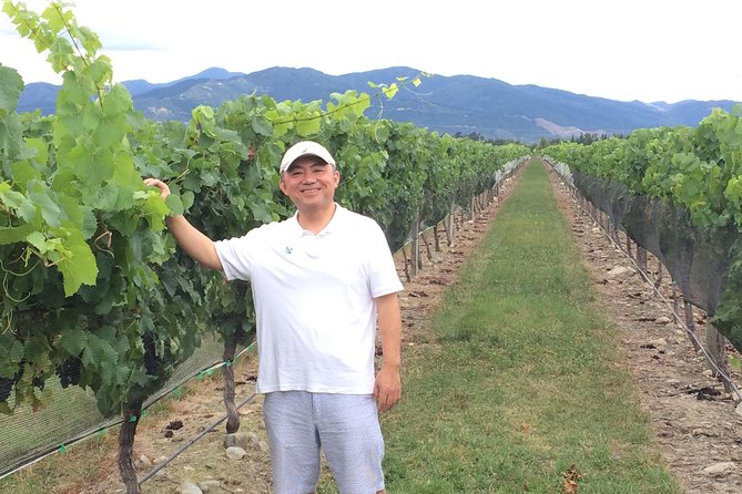 SOLO Traveller: Full Day Wine Gourmet and Scenic Delights From Picton - Pickup Details