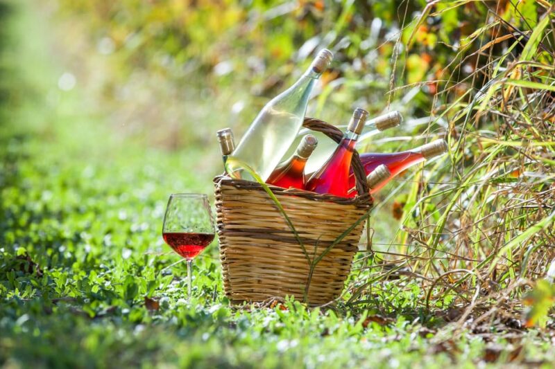 Solvang: Santa Ynez Valley Wine Tours W/ Lunch & Tastings - Tour Inclusions