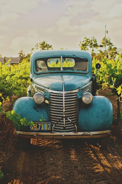 Solvang: Santa Ynez Valley Wine Tours W/ Lunch & Tastings - Important Information