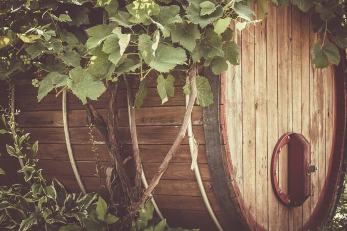 Solvang: Santa Ynez Valley Wine Tours W/ Lunch & Tastings - Scenic Drive Through Wine Trails