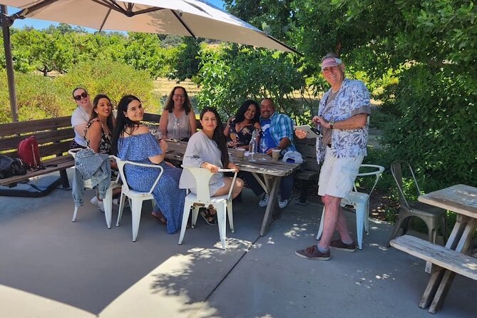 Solvang Valley Small Group All-Inclusive Wine Tour - Overview of the Wine Tour