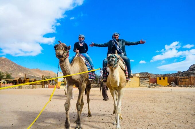 Soma Bay: ATV Quad Safari, Bedouin Village & Camel Ride - Camel Ride