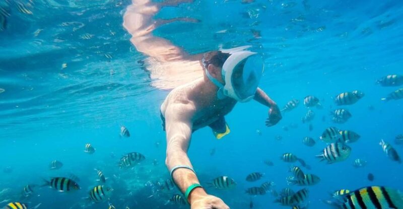 Soma Bay: Magawish Island & Snorkeling Tour W Buffet Lunch - Key Points