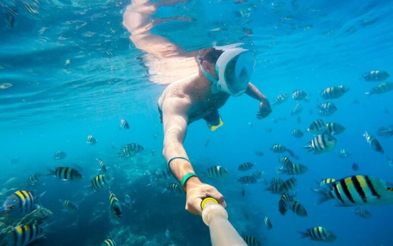 Soma Bay: Magawish Island & Snorkeling Tour W Buffet Lunch - Experience Highlights
