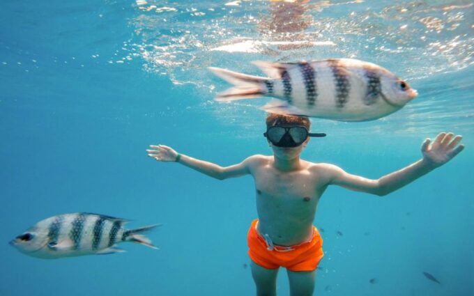 Soma Bay: Magawish Island & Snorkeling Tour W Buffet Lunch - Customer Reviews
