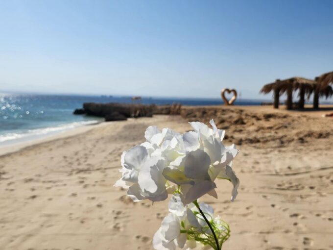 Soma Bay: Magawish Island & Snorkeling Tour W Buffet Lunch - Frequently Asked Questions
