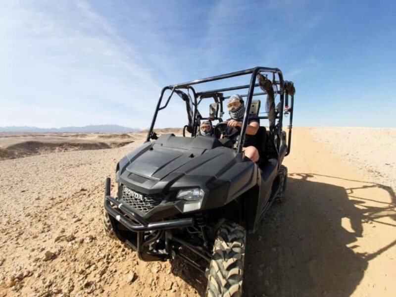 Soma Bay: Sea & Mountains Private Buggy Safari Adventure - Experience Highlights