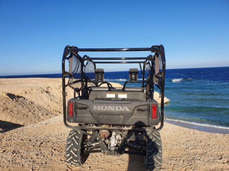Soma Bay: Sea & Mountains Private Buggy Safari Adventure - Included Services