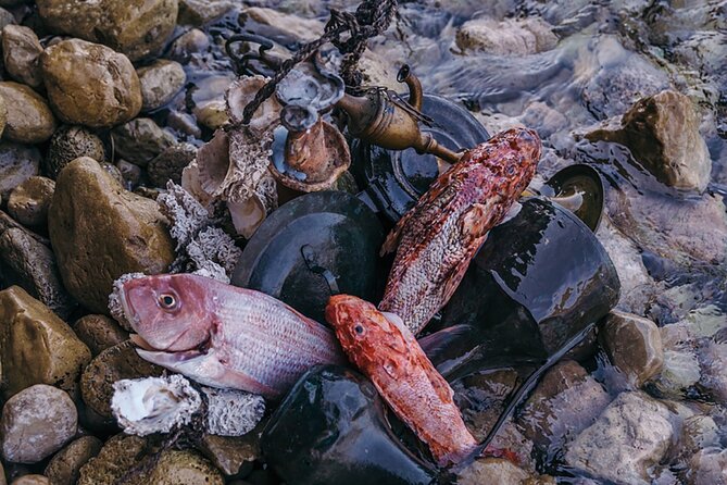 Somebody Feed Phill Gastro Tour Gverovic Orsan - Transportation and Private Beach Access