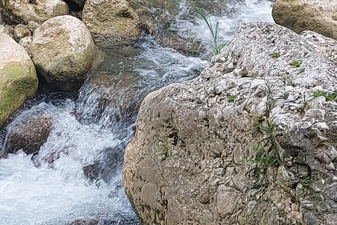 Somerset Fall and Bamboo Rafting Experience in Portland Jamaica - Inclusions and Costs