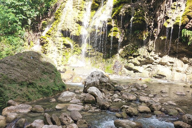 Somerset Fall and Bamboo Rafting Experience in Portland Jamaica - Highlights of the Tour