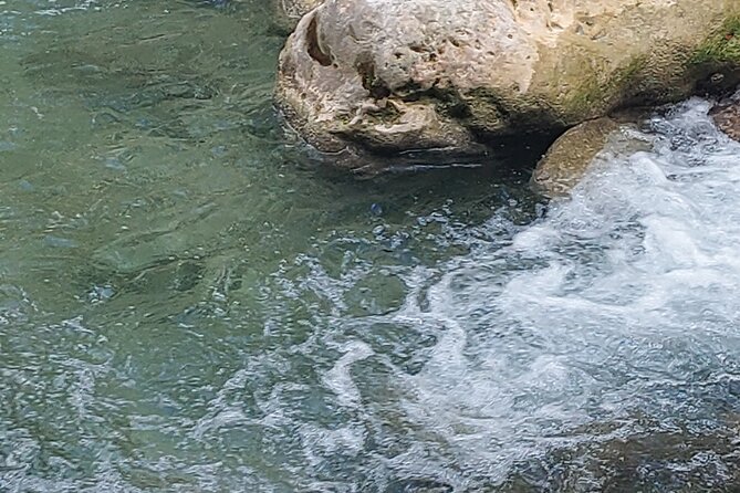 Somerset Fall and Bamboo Rafting Experience in Portland Jamaica - Additional Details