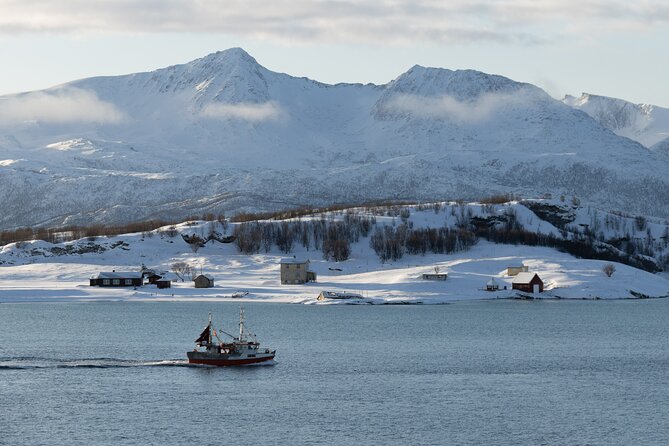 Sommarøy Arctic Day Trip - Key Points
