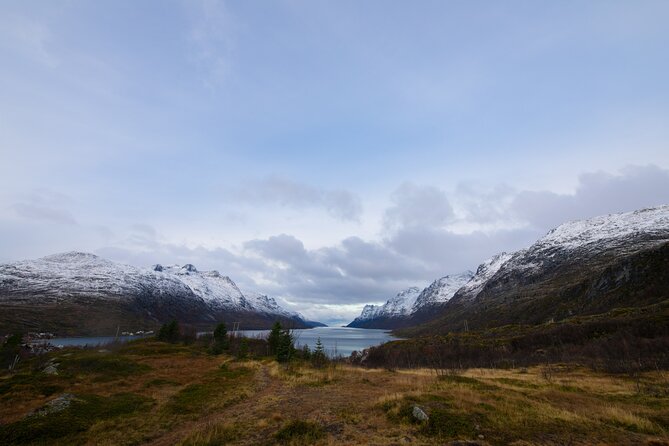 Sommarøy Arctic Day Trip - Itinerary Highlights