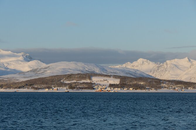 Sommarøy Arctic Day Trip - Meeting and Pickup
