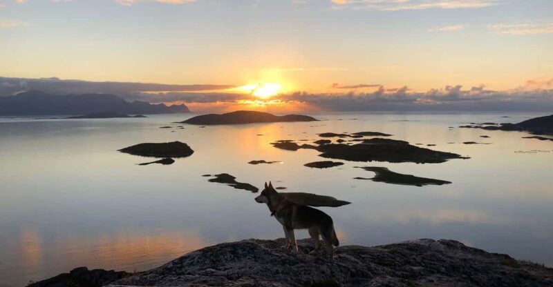 Sommarøy Islands, Tromsø: Midnight Sun Tour - Highlights and Experience