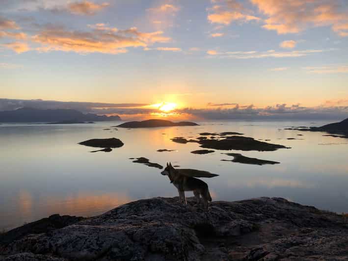 Sommarøy Islands, Tromsø: Midnight Sun Tour - Inclusions