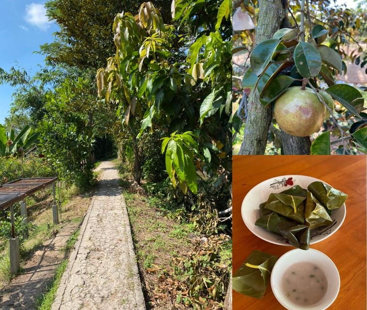 SON ISLET TRIP EXPLORE THE BOLD LAND OF THE SOUTH REGION - Key Points