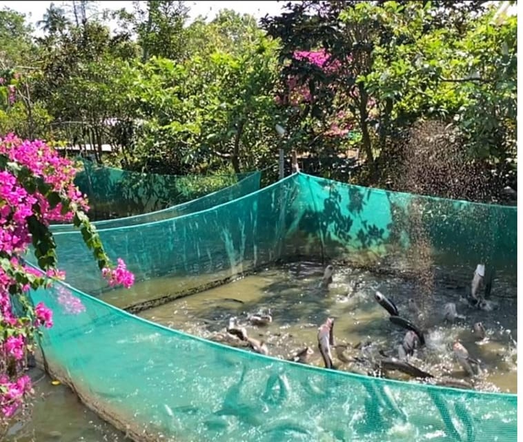 SON ISLET TRIP EXPLORE THE BOLD LAND OF THE SOUTH REGION - Transportation and Pickup Options