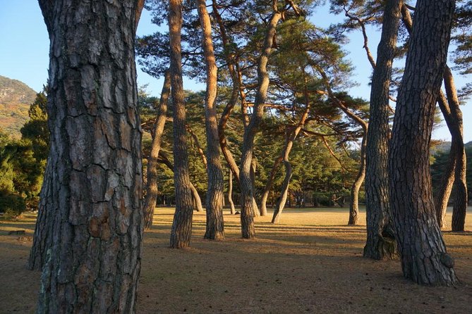 Songnisan National Park & Beopjusa Temple UNESCO Site Private Tour - Inclusions