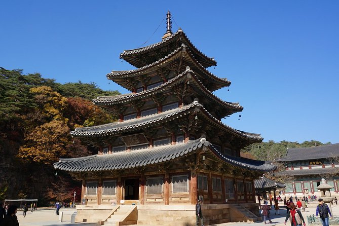 Songnisan National Park & Beopjusa Temple UNESCO Site Private Tour - Accessibility