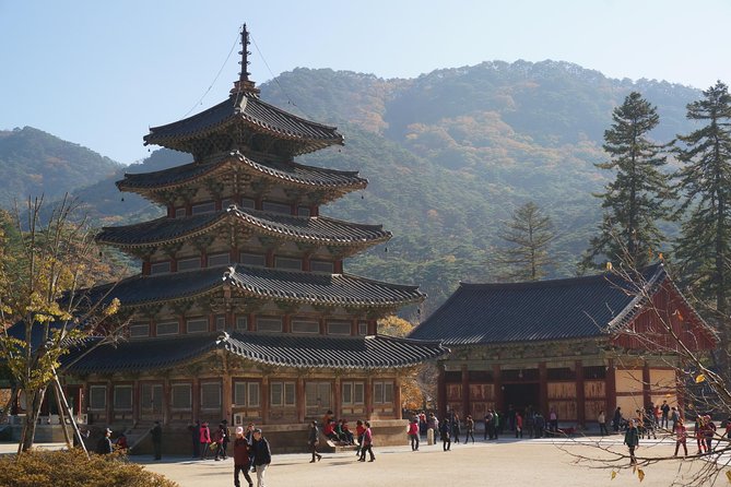 Songnisan National Park & Beopjusa Temple UNESCO Site Private Tour - Pickup Details