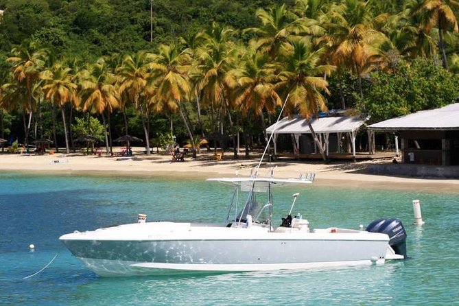 Sonic Charters- Full Day Boat Charter - 32 Intrepid Powerboat - Exceptional Customer Reviews