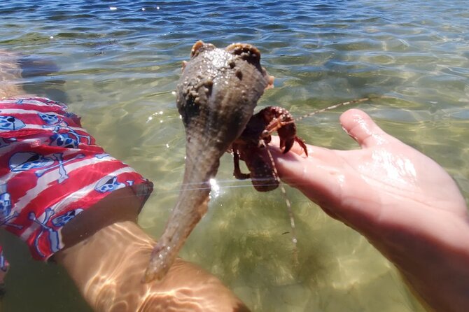 Sonnys Boat Tours Full Day Sand Bar Adventure Englewood, Florida - Getting to the Meeting Point