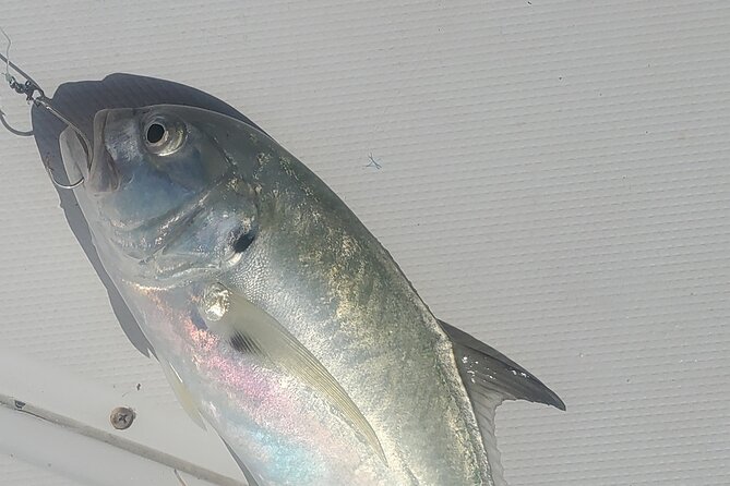 Sonnys Boat Tours Half Day Off Shore Fishing Charter Englewood Fl - Meeting and Pickup Details