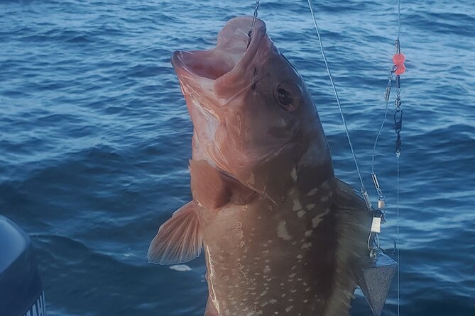Sonnys Boat Tours Half Day Off Shore Fishing Charter Englewood Fl - Booking and Cancellation Policy