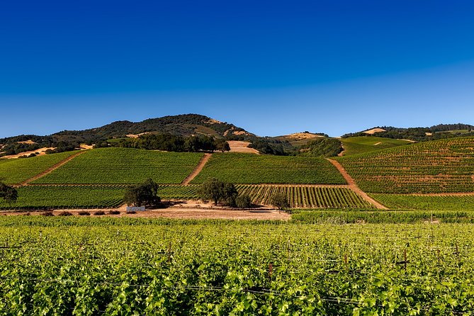 Sonoma and Napa Wine Tour Private Tours 8 to 10 Hours Max 14 Pax - Health and Safety Measures